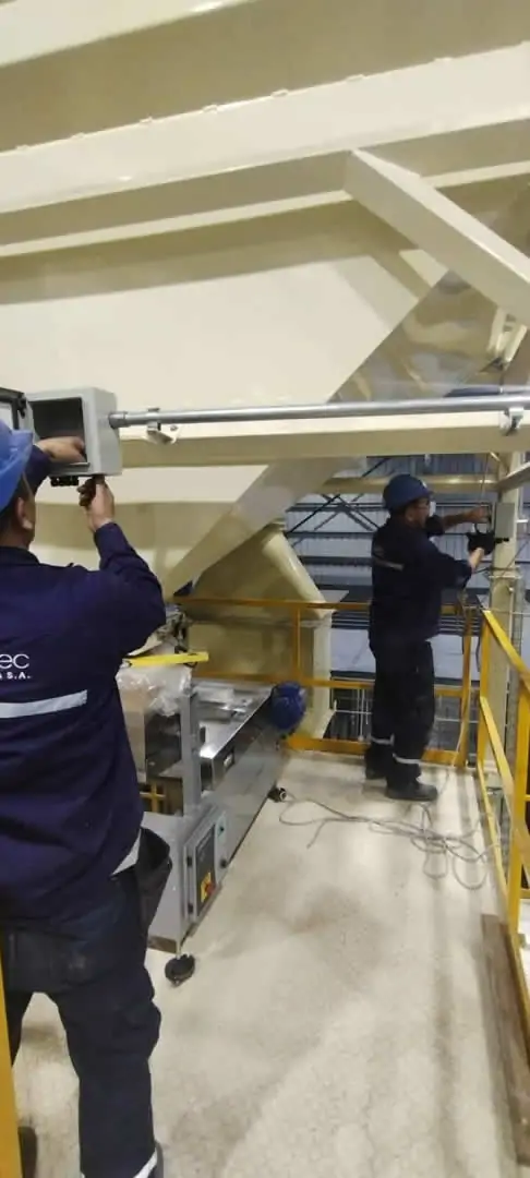 Planta de seleccion de oleaginosas 12