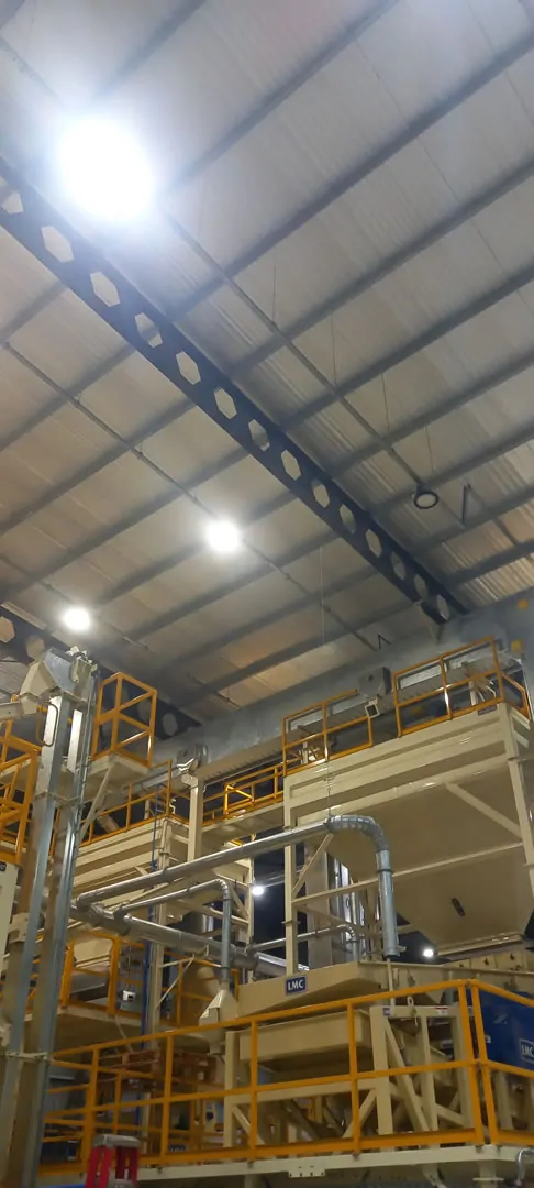 Planta de seleccion de oleaginosas 2